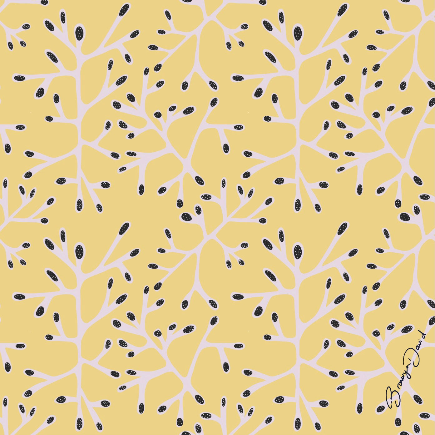 Silk Scarf - Casuarina 65 x 65 cm | Art by Bronwyn David