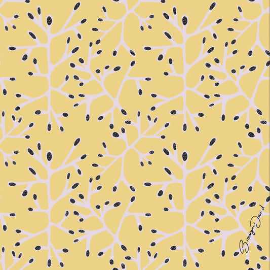 Silk Scarf - Casuarina 65 x 65 cm | Art by Bronwyn David